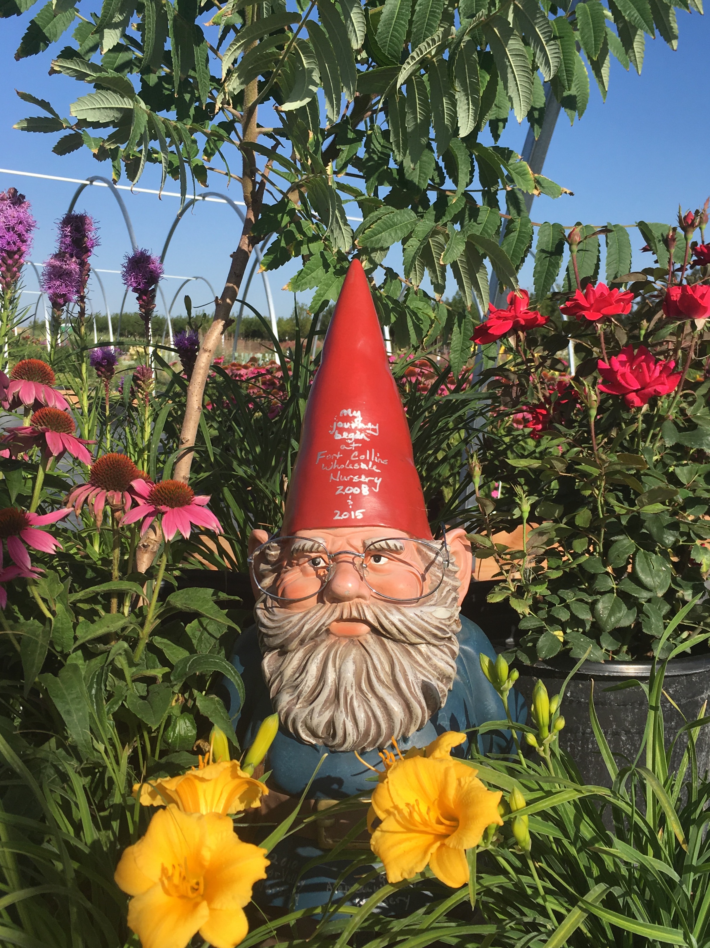 Gus, the CHREF Gnome